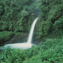 Cascade