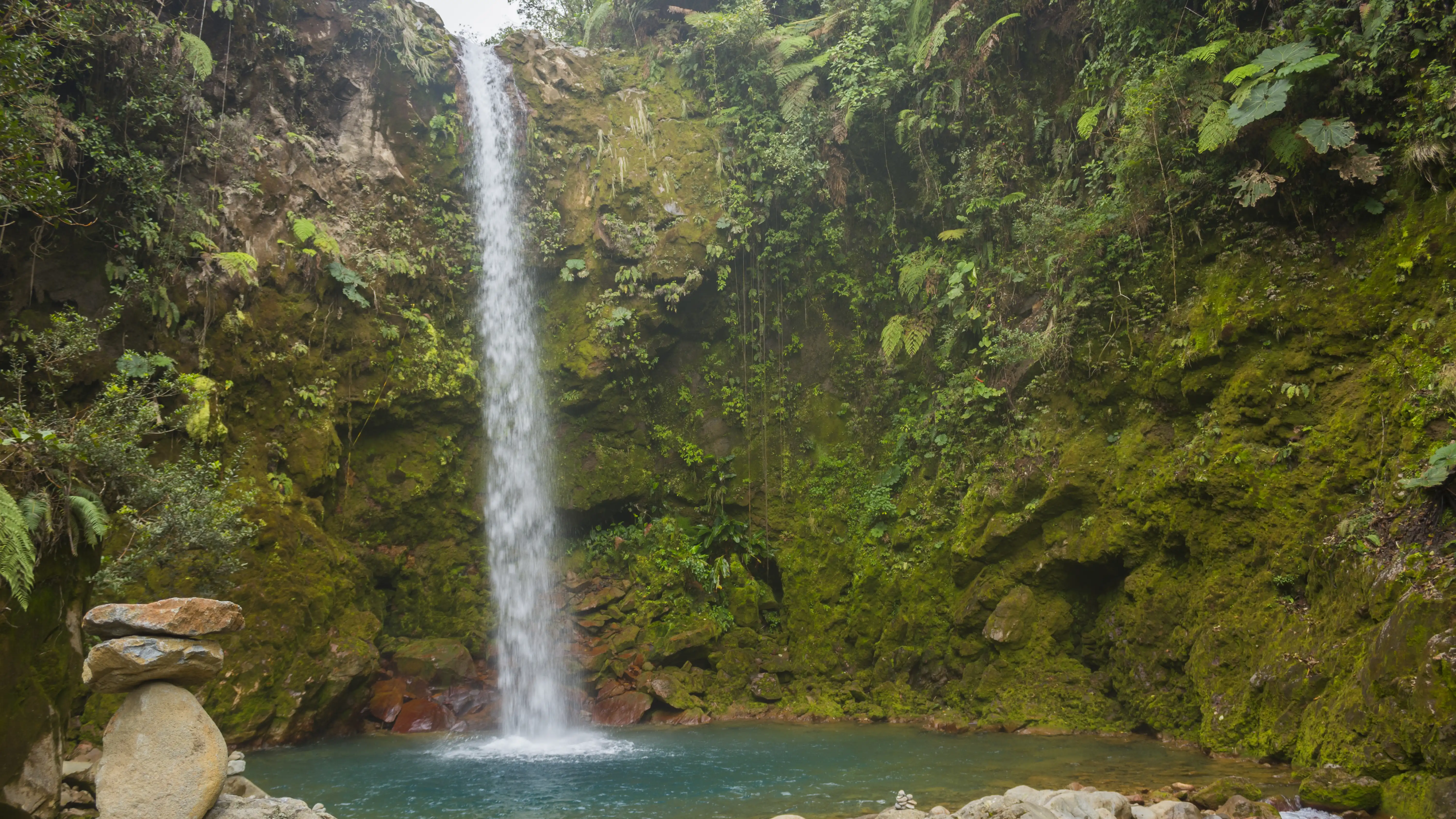 Une grande cascade au milieu d'une forêt.