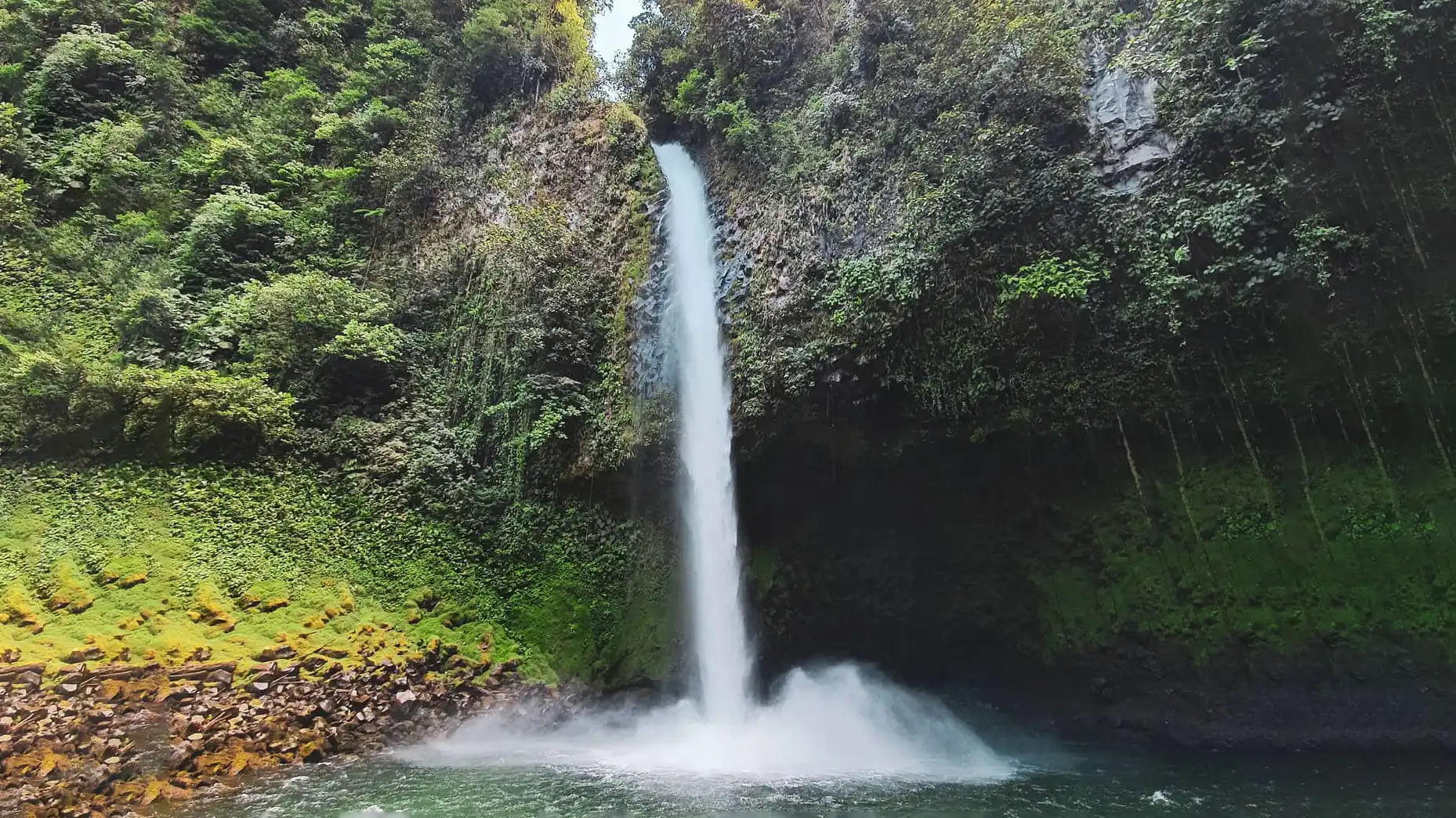 Une cascade au milieu d'une forêt verdoyante.
