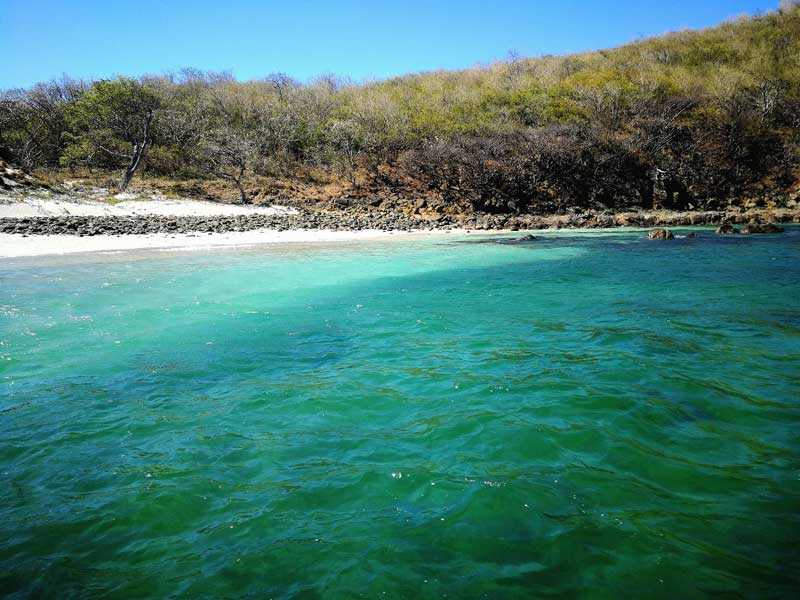 Une photo de plage.