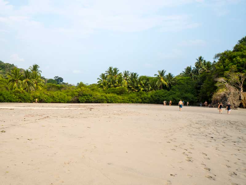 Un groupe de personnes marchant le long d'une plage de sable.