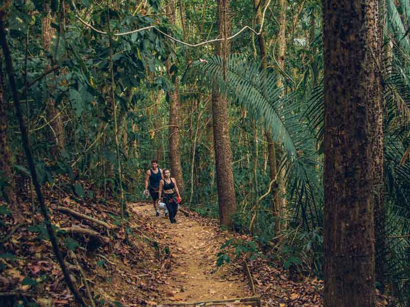Un groupe de personnes se promenant dans une forêt.