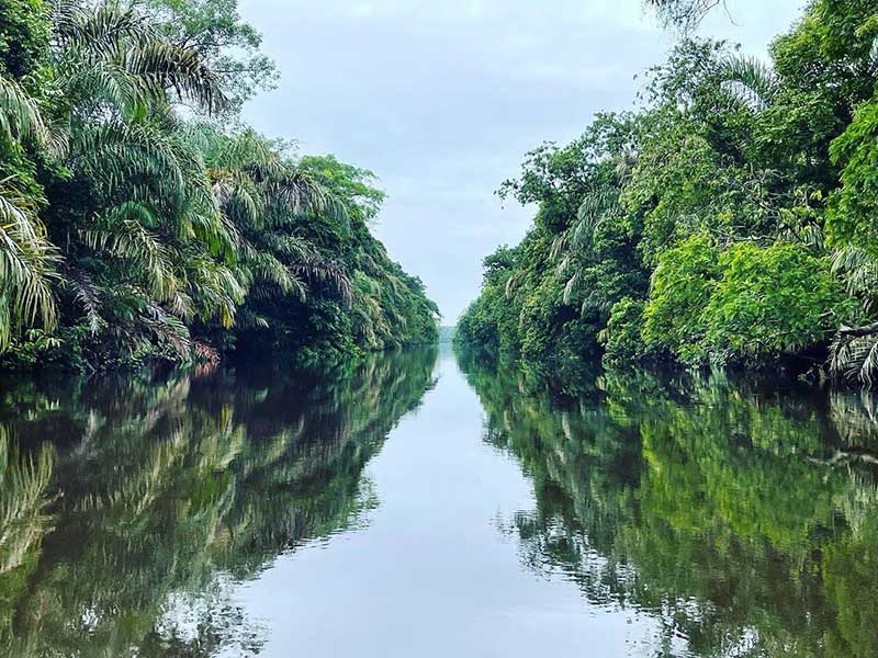 Une rivière étroite entourée d'arbres verdoyants.