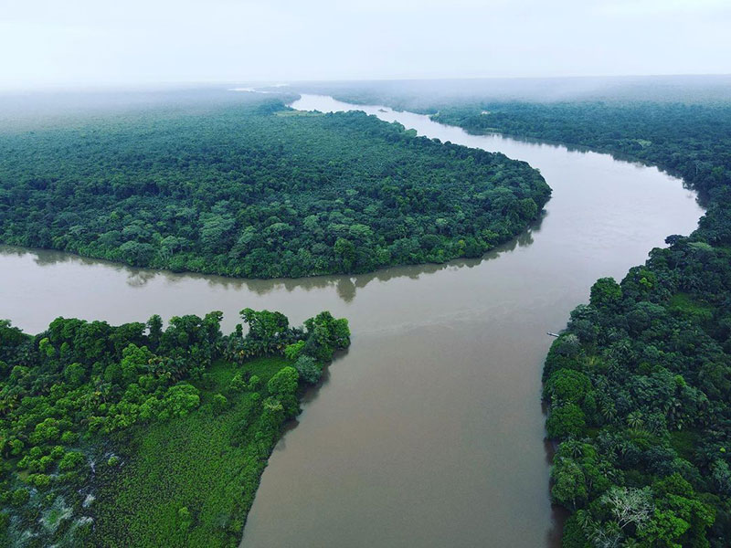 Une rivière traversant une forêt verdoyante.