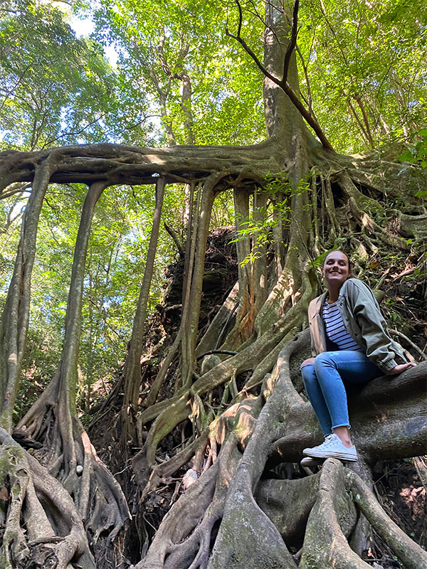 Une femme assise au sommet d'un arbre dans une forêt.