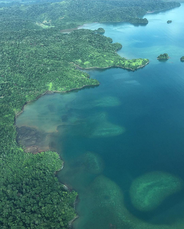 Une grande étendue d'eau entourée d'arbres verdoyants.