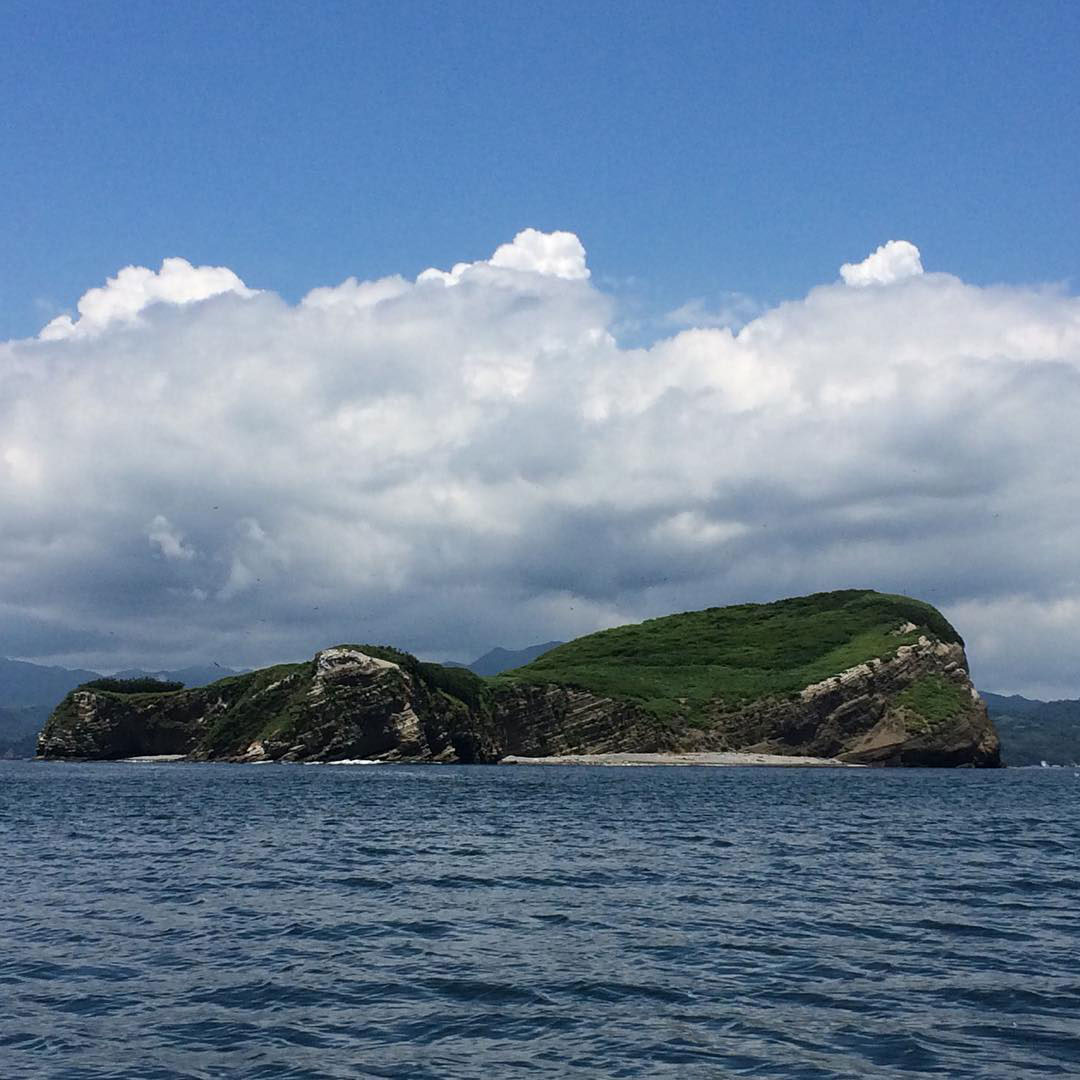 Une petite île au milieu d'une étendue d'eau.