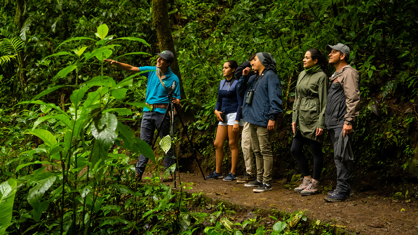 Réserve biologique de la forêt de nuages de Monteverde