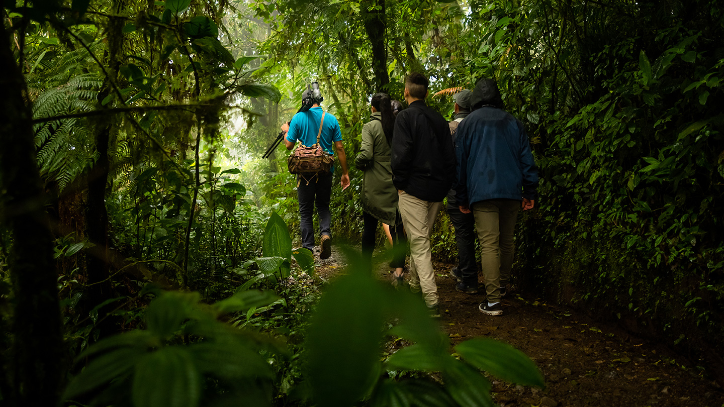 Réserve biologique de la forêt de nuages de Monteverde 
