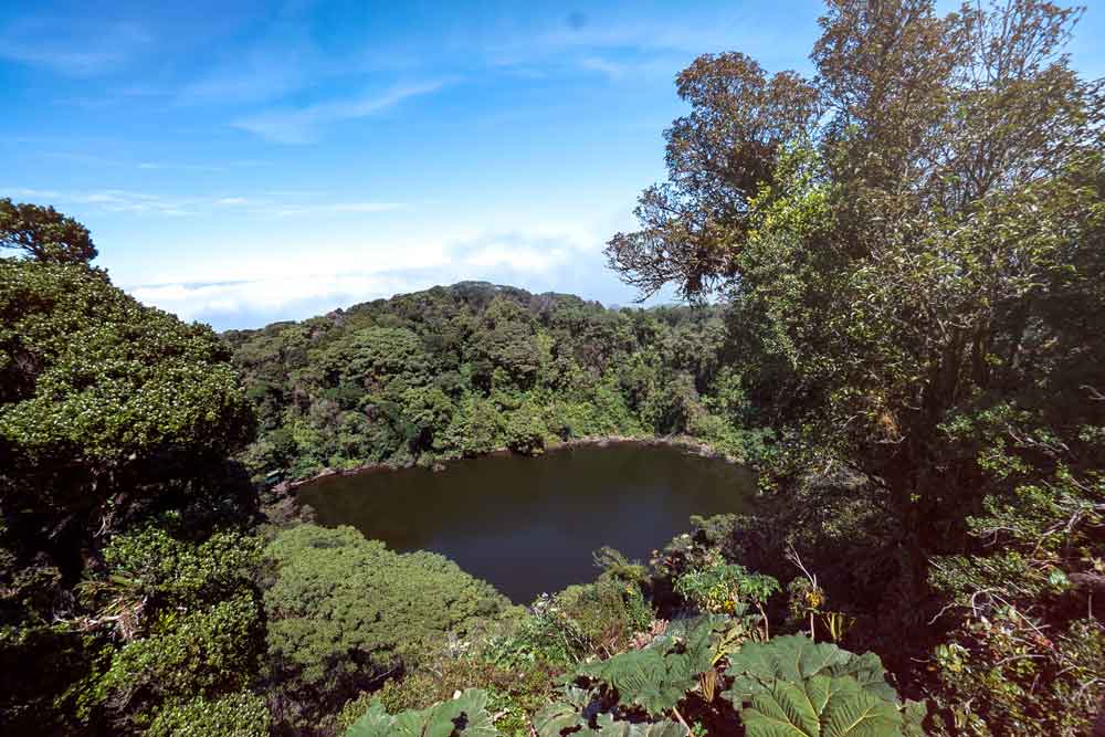 Vue aérienne d'un lac entouré d'arbres.
