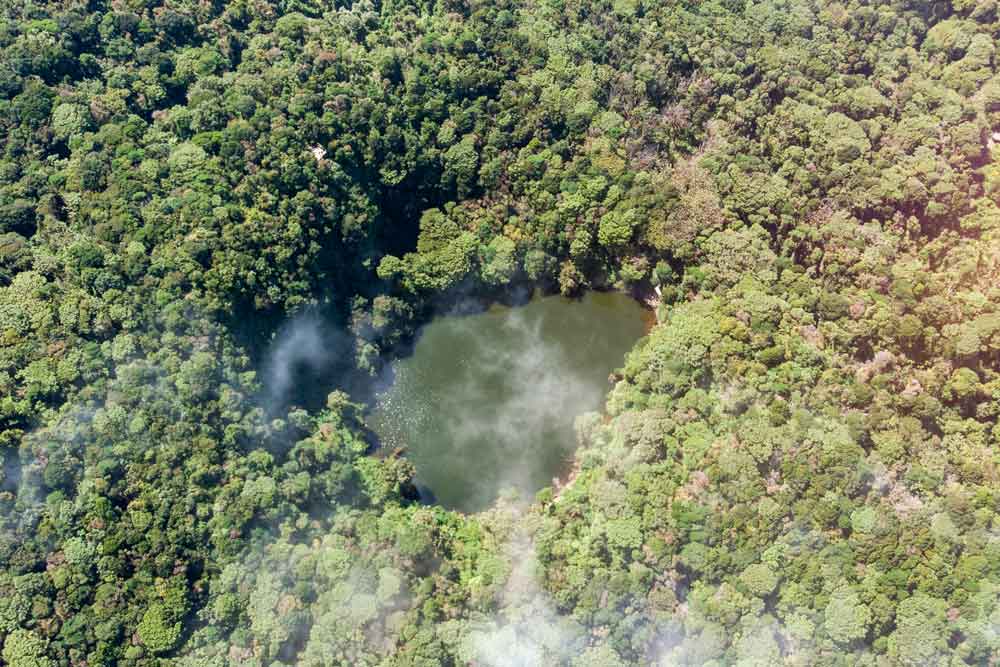 Vue aérienne d'un lac entouré d'arbres.