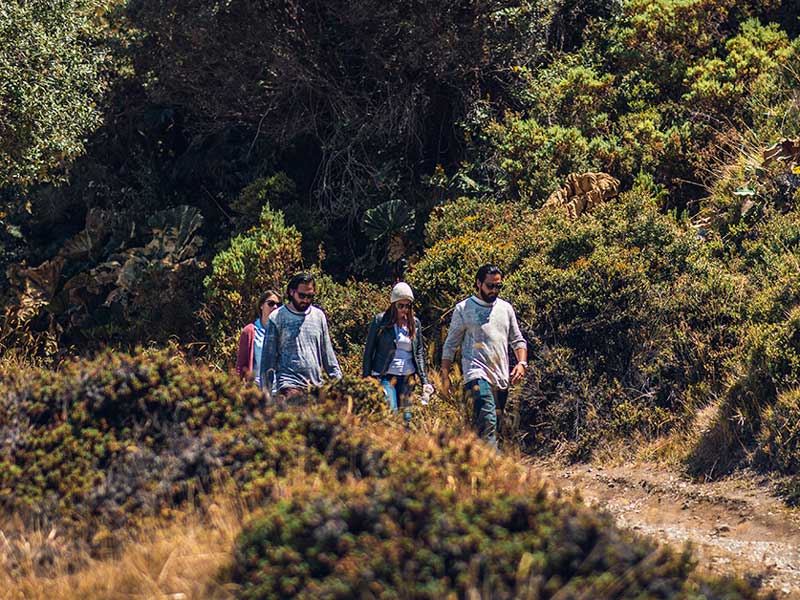 Un groupe de personnes marchant sur un chemin de terre.