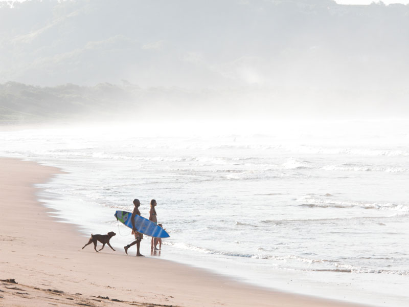 Un groupe de personnes marchant le long d'une plage avec un chien.
