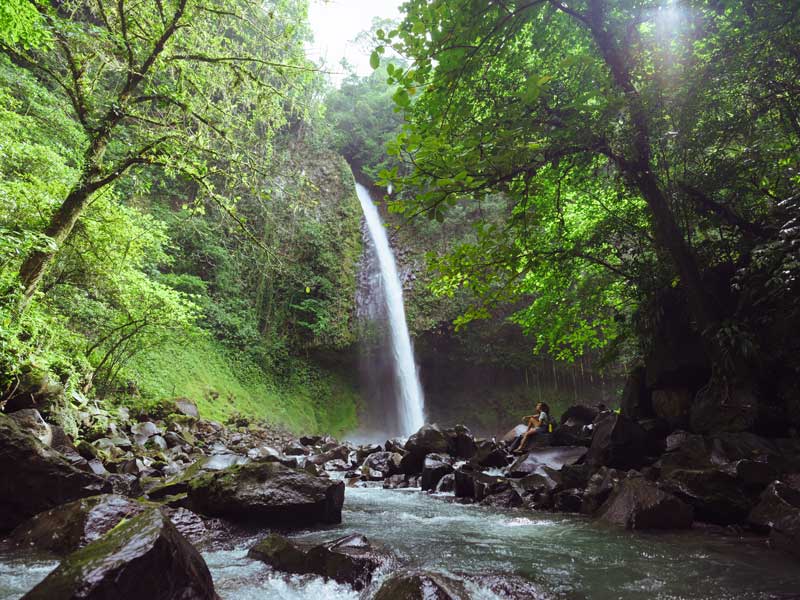 Une petite cascade au milieu d'une forêt.
