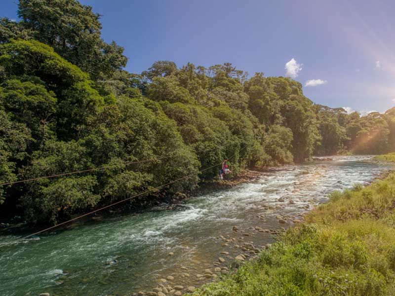 Une rivière traversant une forêt verdoyante.