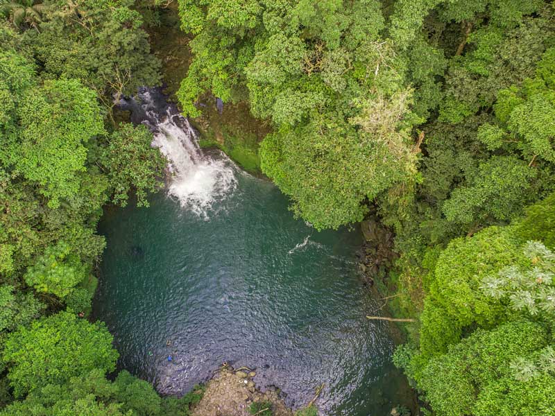 Une rivière traversant une forêt verdoyante.