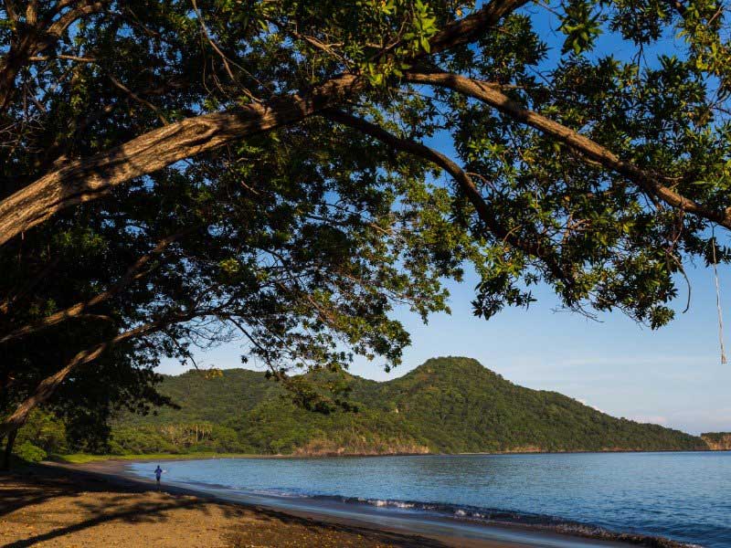 Une personne marchant sur une plage près d'une étendue d'eau.