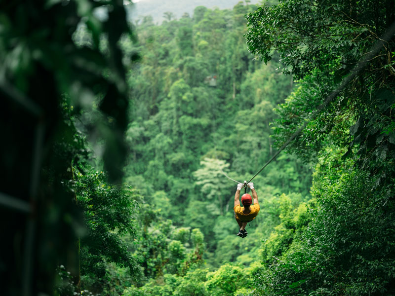 Un homme fait de la tyrolienne au milieu d'une forêt.