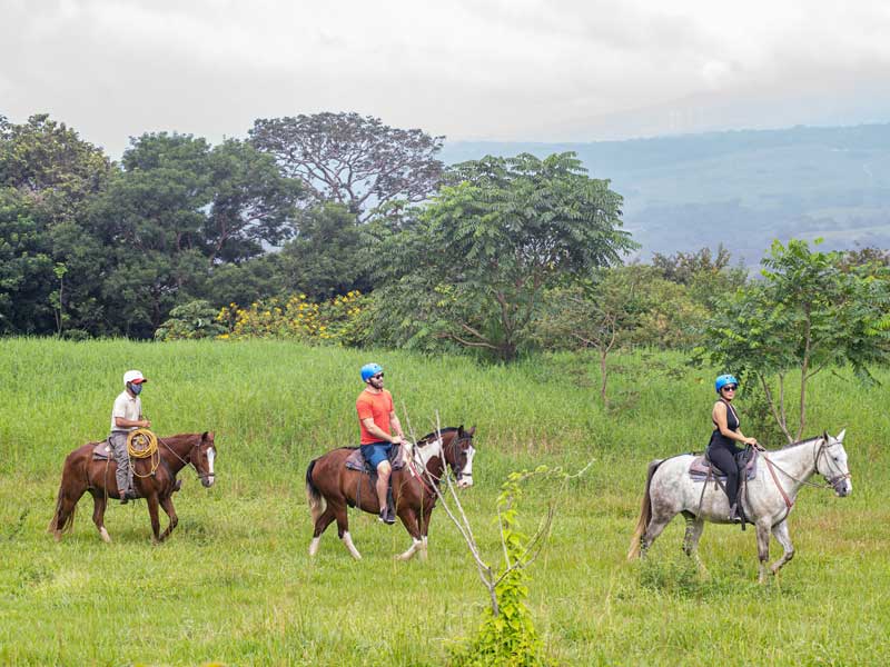 Un groupe de personnes montées sur le dos de chevaux.