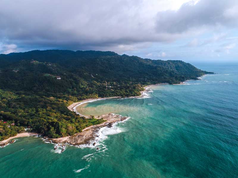 Vue aérienne d'une plage et d'une zone forestière
