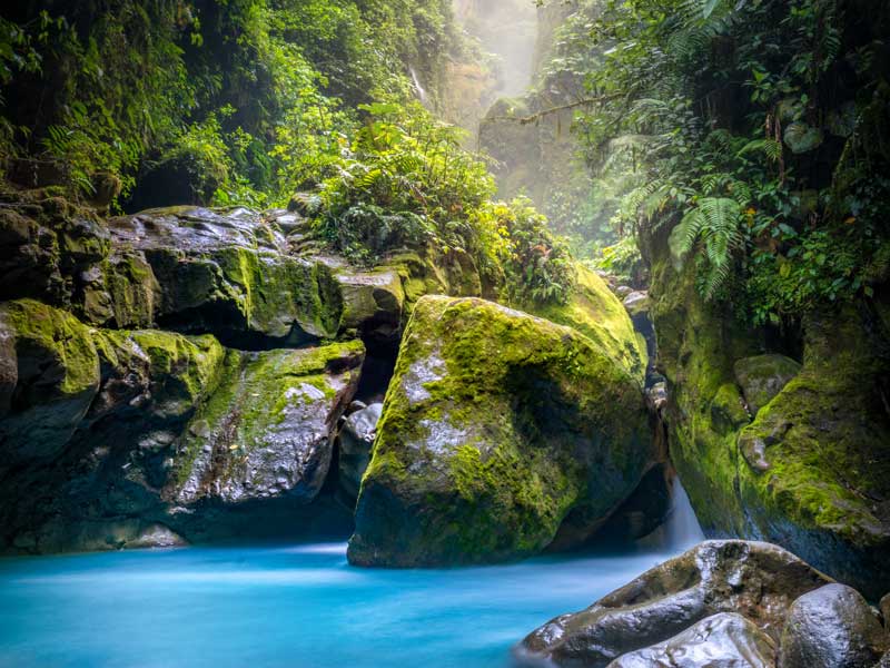 rochers avec mousse et chute d'eau dans la jungle