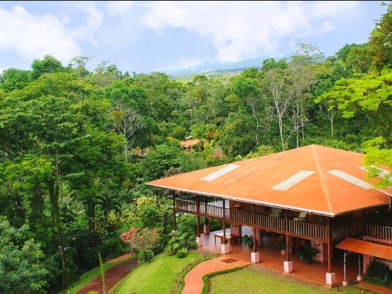Une maison au milieu d'une forêt verdoyante.