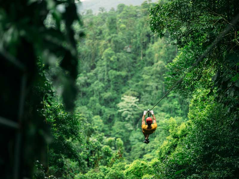 Un homme fait de la tyrolienne au milieu d'une forêt.