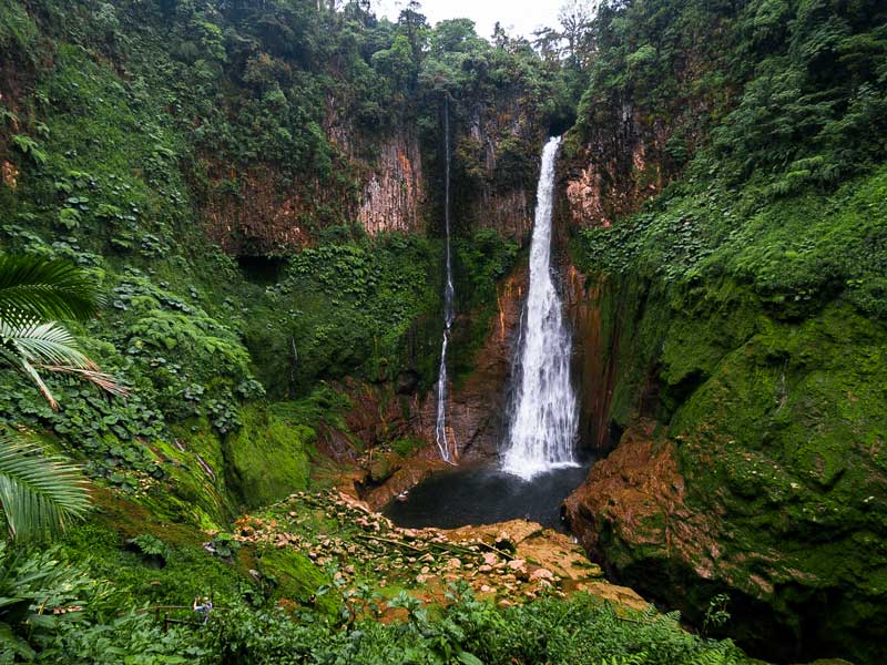 Une cascade au milieu d'une forêt verdoyante.