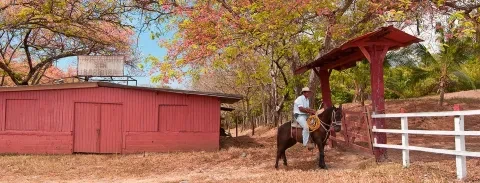 Un homme à cheval dans un cadre champêtre, faisant la promotion du tourisme rural