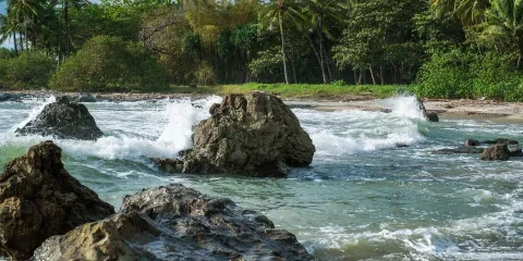 rivière avec des rochers
