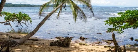 Côte caribéenne