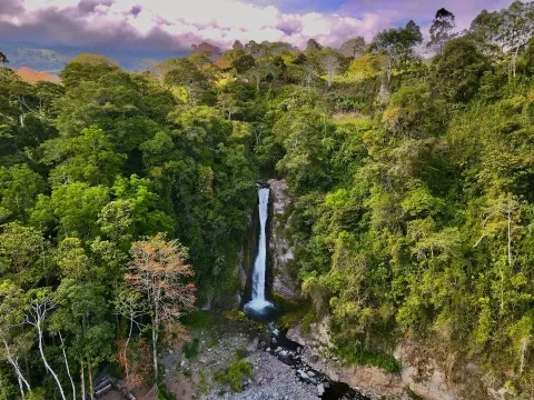 Vue aérienne d'une cascade dans la jungle