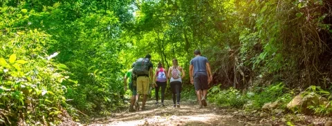 groupe de personnes faisant de la randonnée sur un sentier