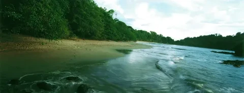 l'océan touche la plage