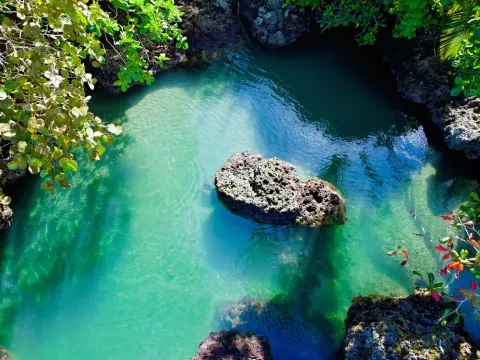 vue aérienne de Cahuita 