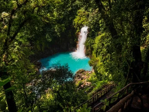 une cascade dans la jungle