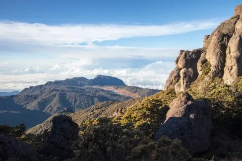 Paysage par une belle matinée avec végétation paramo dans le parc national de Chirripo
