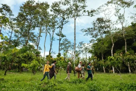 groupe-forêt-chocolat-finca-la-amistad-rio-celeste.jpg