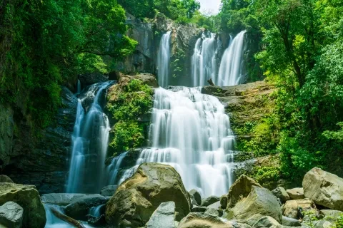 plusieurs cascades dans la forêt