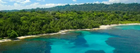 caribbean-3.jpg