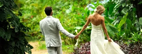 banner-top-wedding.jpg