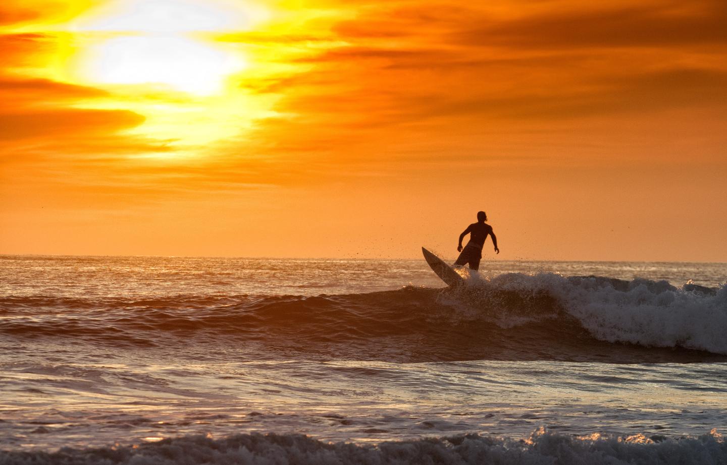 surf