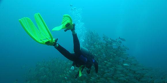 plongeur nageant vers le poisson
