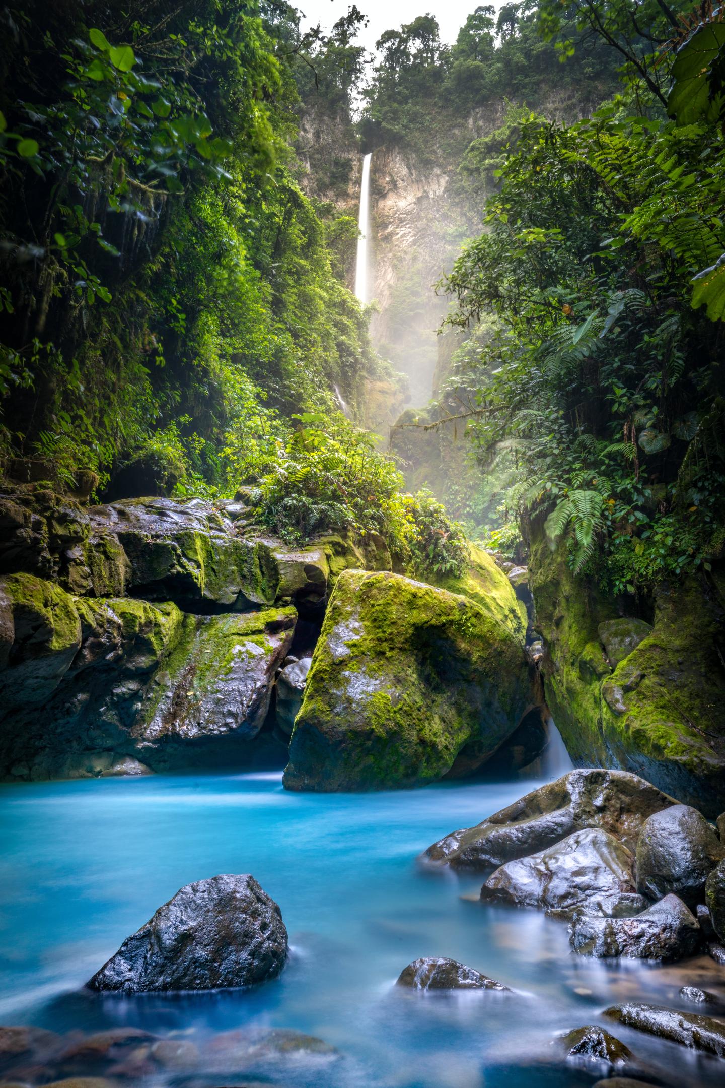 Parc national Juan Castro Blanco