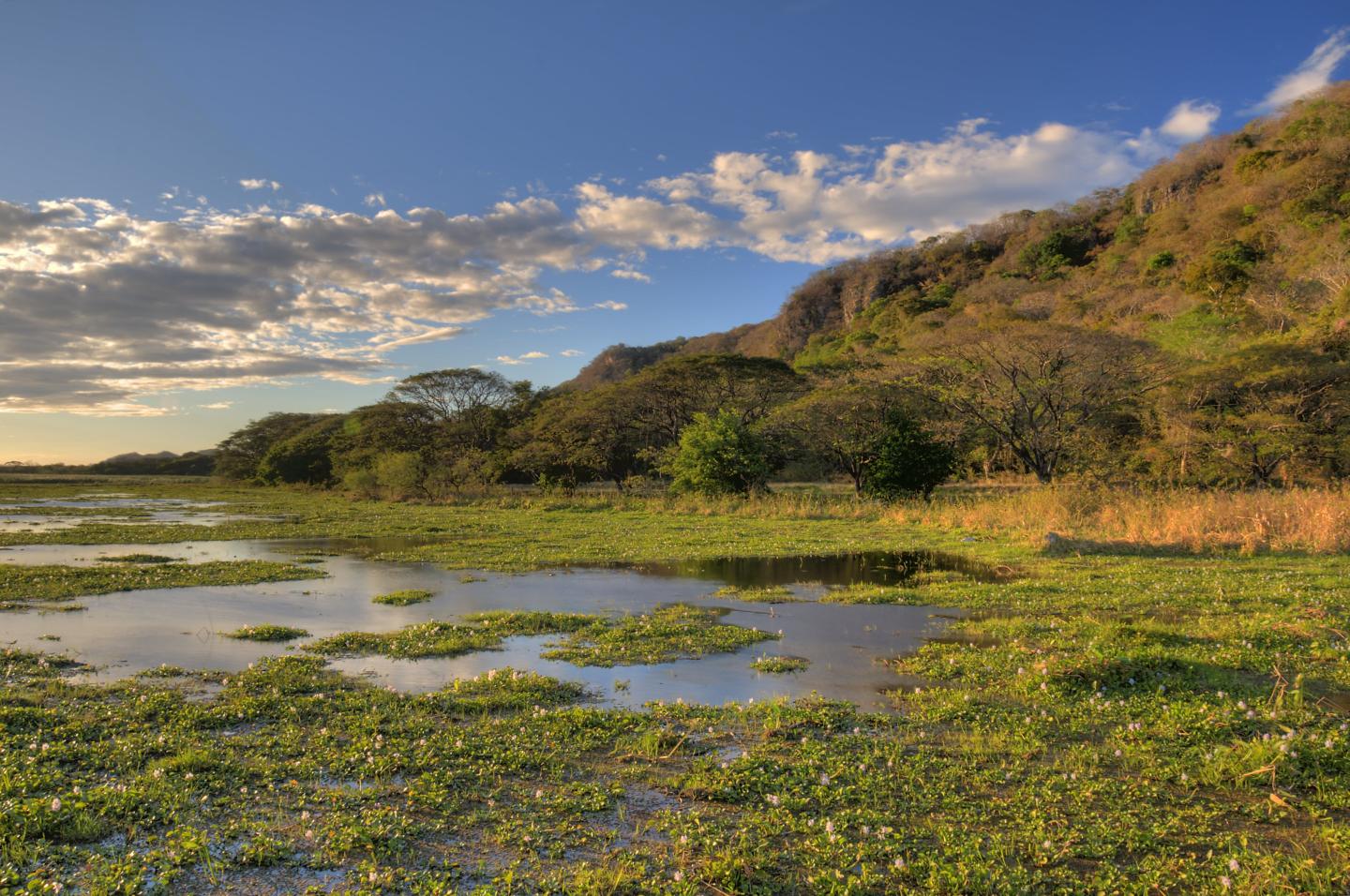 Parc national de Palo Verde
