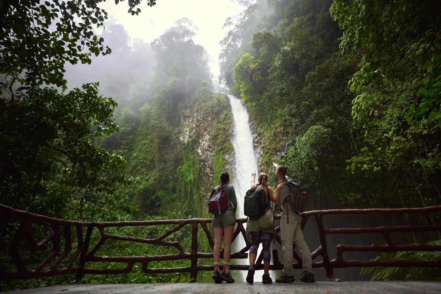 Personnes regardant une chute d'eau dans la jungle