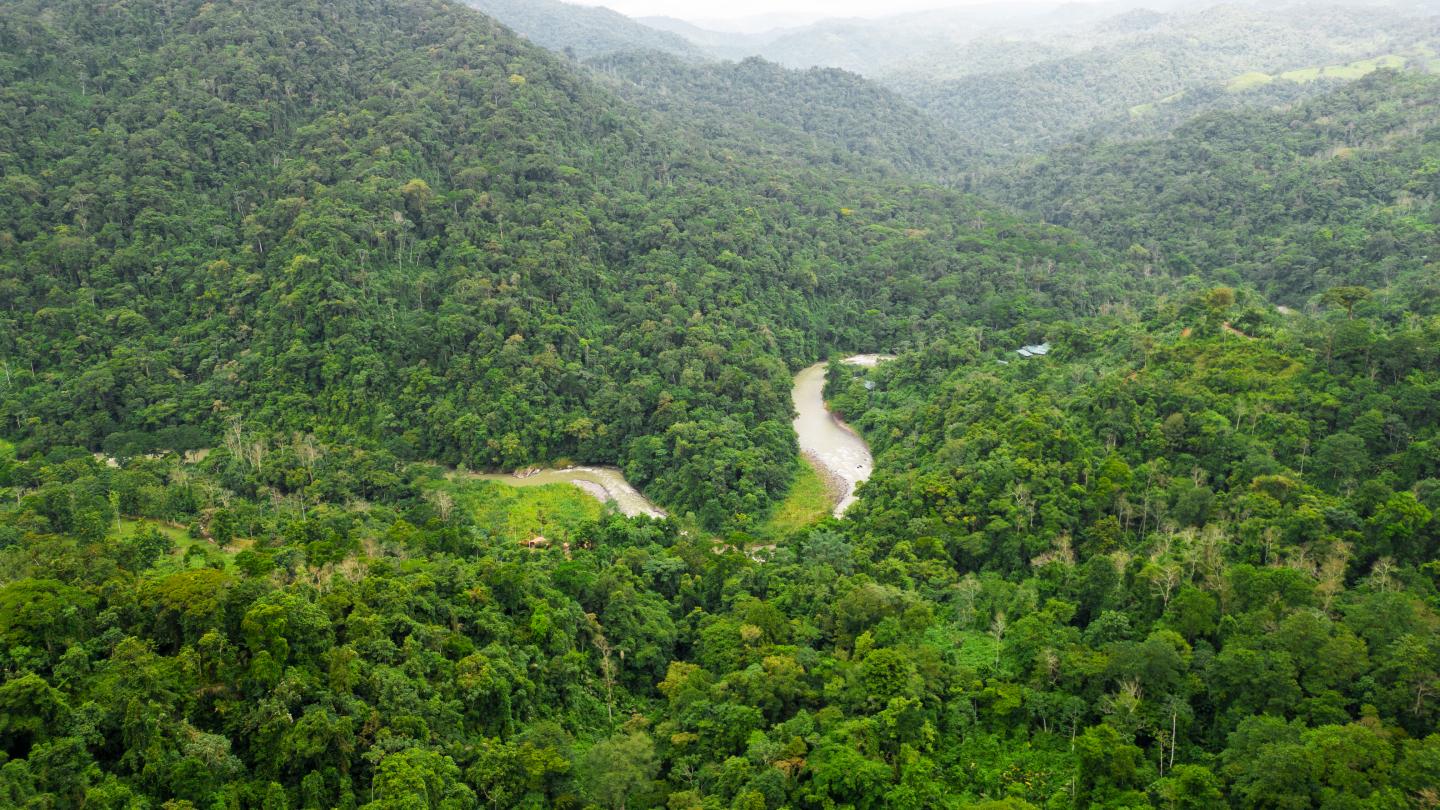 vue aerienne de la riviere pacuare