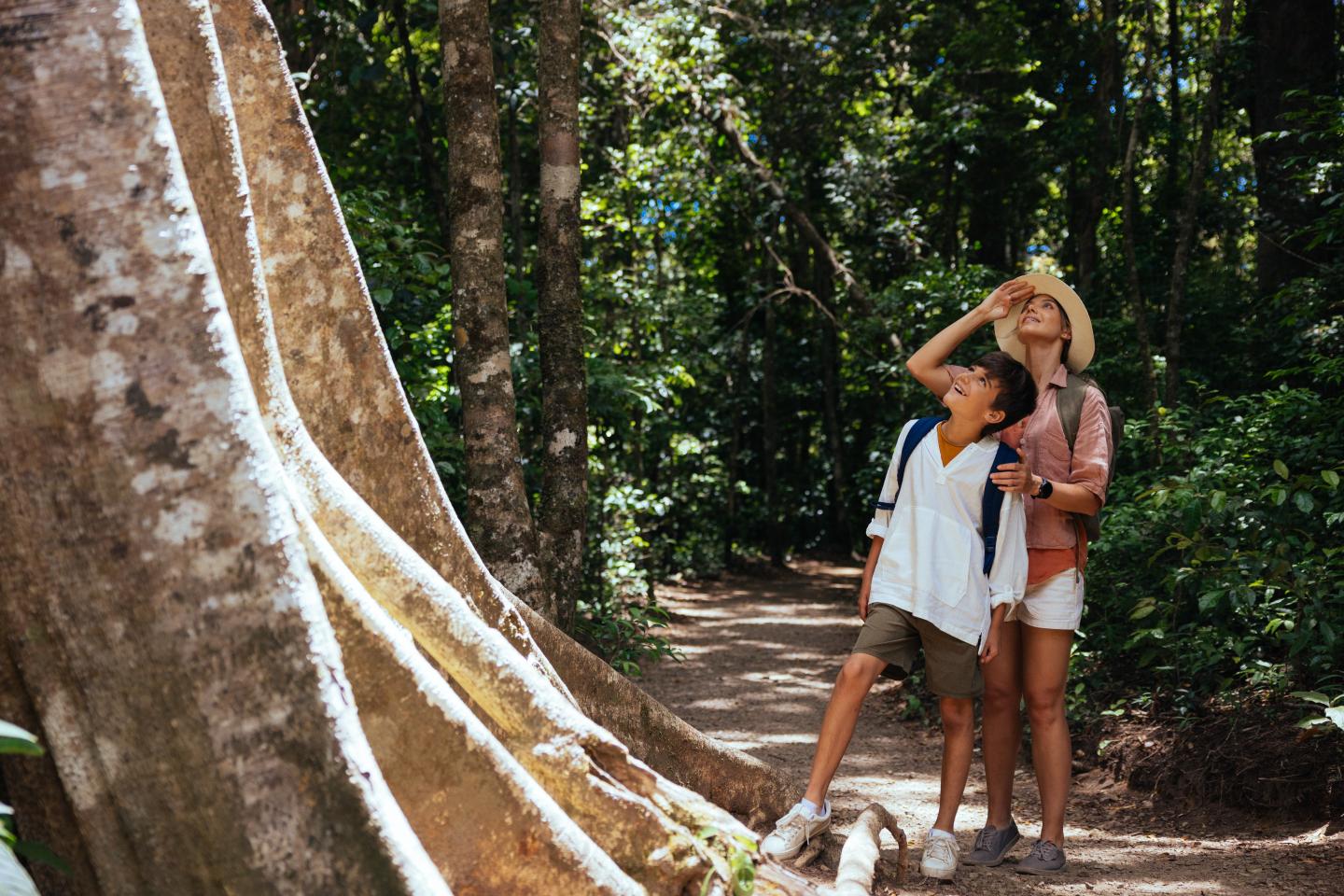 une mère et son fils regardant un grand arbre dans la forêt