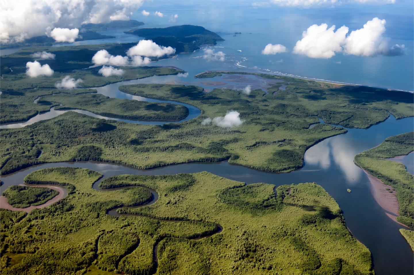 Vue aérienne des rivières se jetant dans l'océan