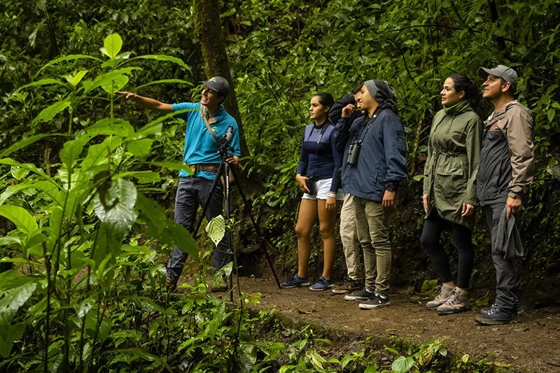 guias lateral puntarenas.webp